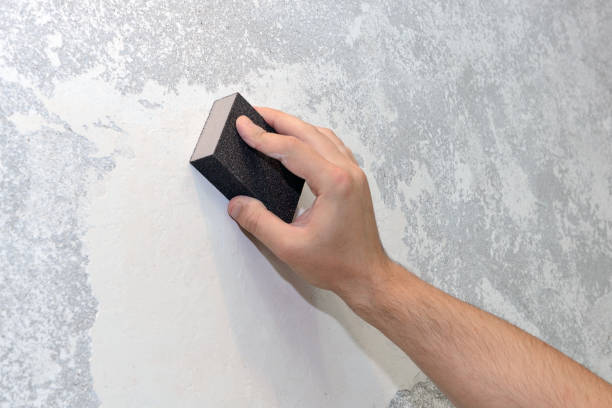  Dilworthtown, PA Mold Removal Pros