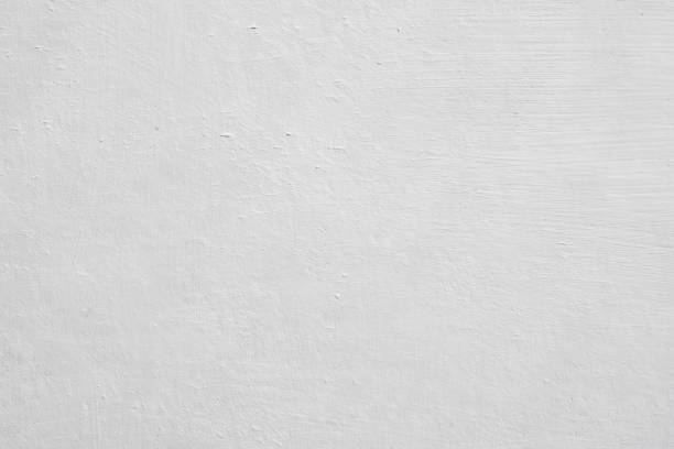 Mold Documentation for Insurance Claims in Dilworthtown, PA