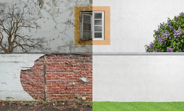 Dilworthtown, PA Mold Removal Company